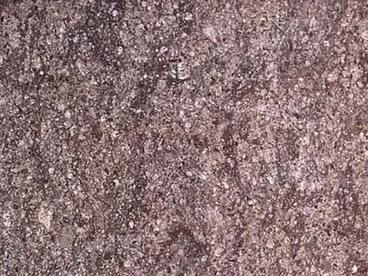 Peperino Soriano натуральный камень, полированный образец – Marmi di Carrara – серый, фиолетовый (1)