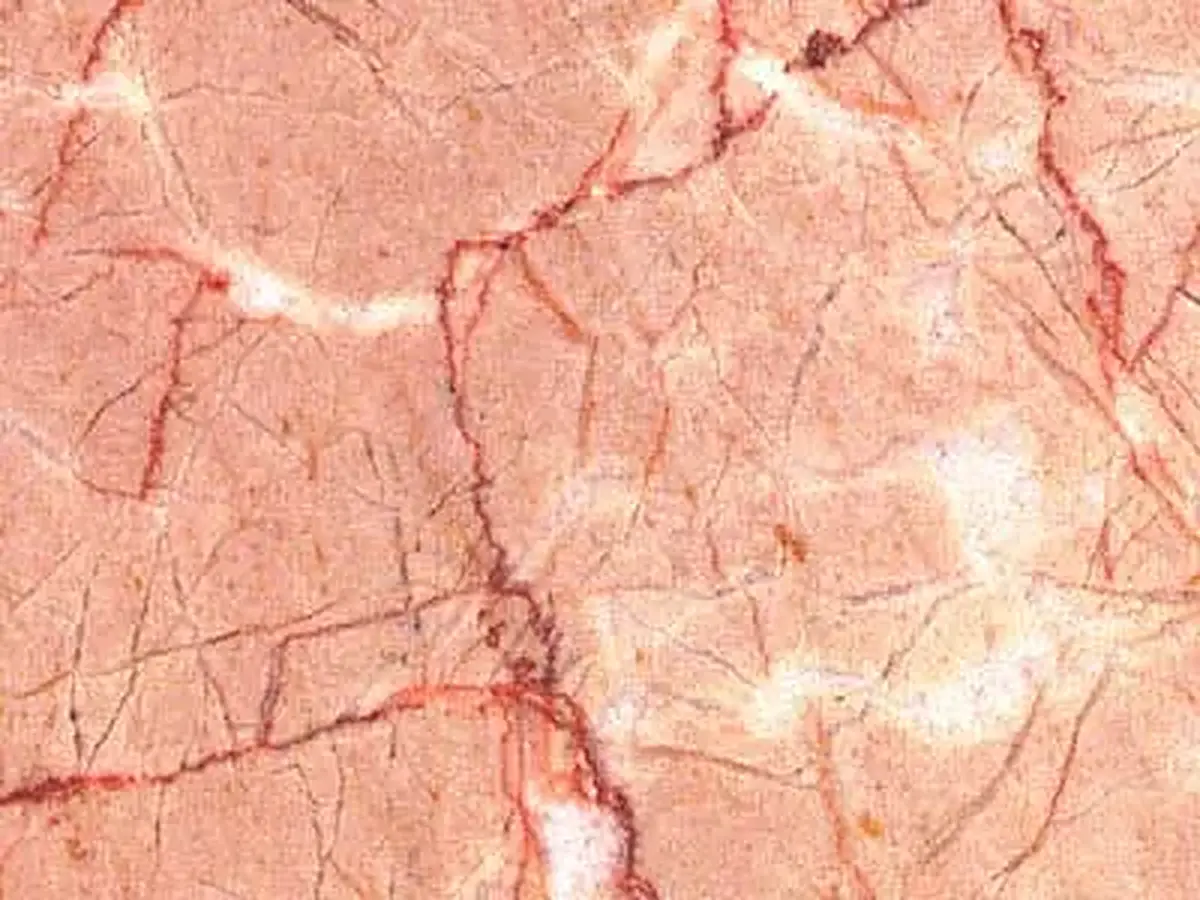 Perlatino calcare, campione lucido – Marmi di Carrara – rosa, avorio (1)
