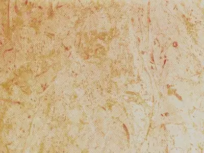 Perlato Svevo limestone