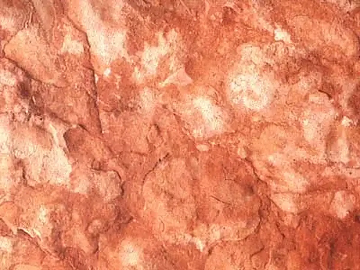 Persichino de Prun limestone polished sample – Marmi di Carrara – gold, pink (1)