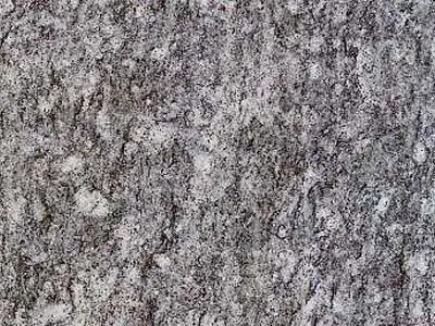 Pietra di Luserna Granit, polierte Probe – Marmi di Carrara – grau, grün (1)