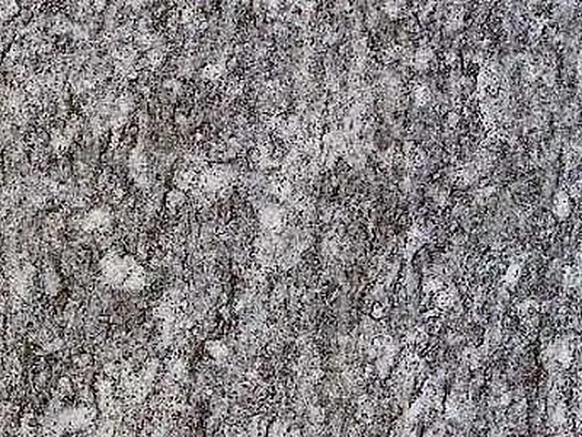 Pietra di Luserna Granit, polierte Probe – Marmi di Carrara – grau, grün (1)