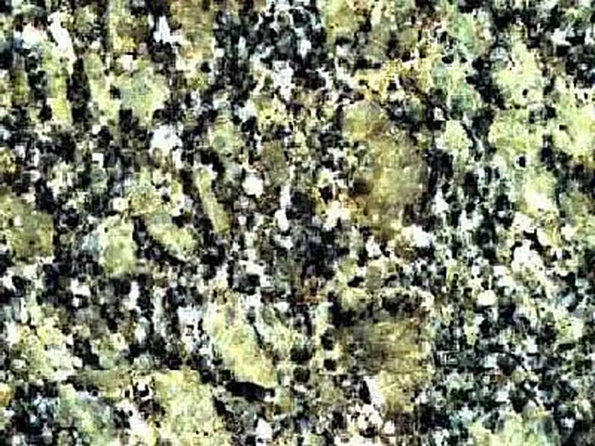 Pine Green granite polished sample – Marmi di Carrara – green, grey (1)