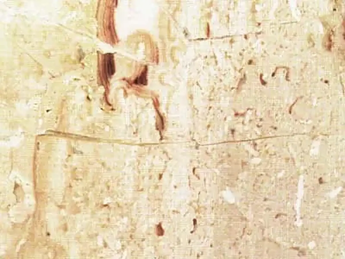 Pink Liberty limestone polished sample – Marmi di Carrara – ivory, beige (1)