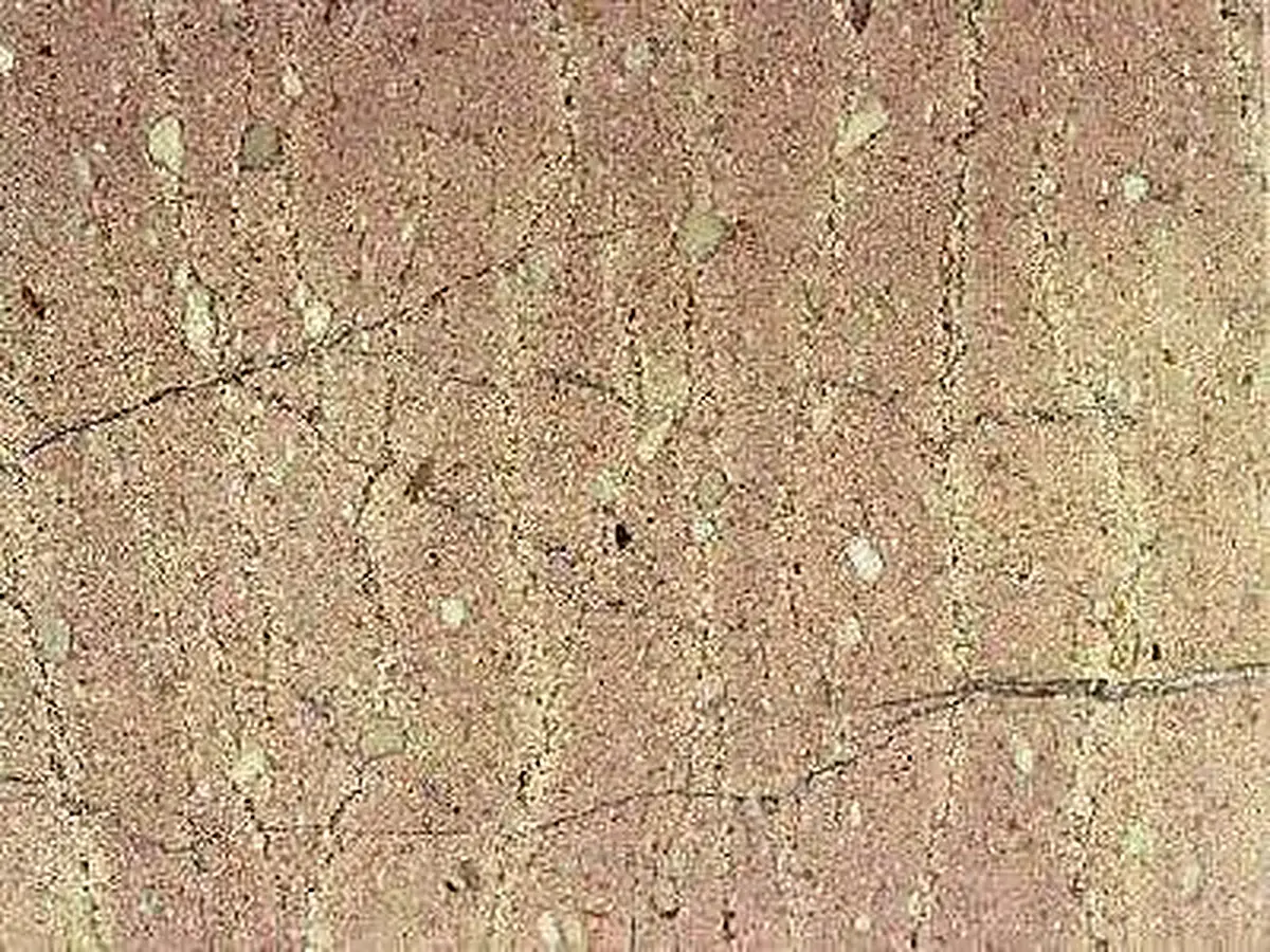 Pink of Arta - Rozalino calcaire, échantillon poli – Marmi di Carrara – beige, doré (1)