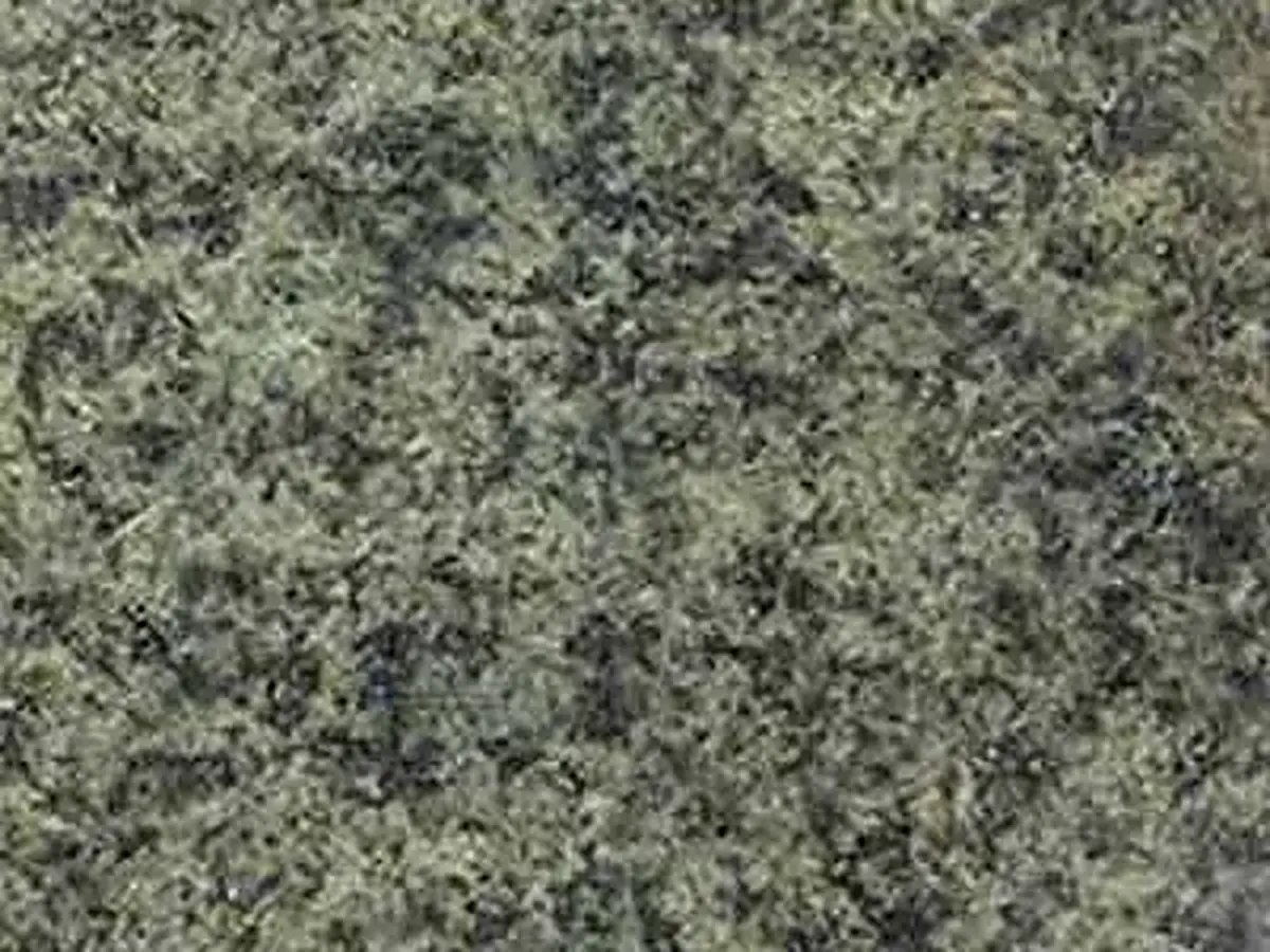 Piranshar granito, campione lucido – Marmi di Carrara – verde, grigio (1)