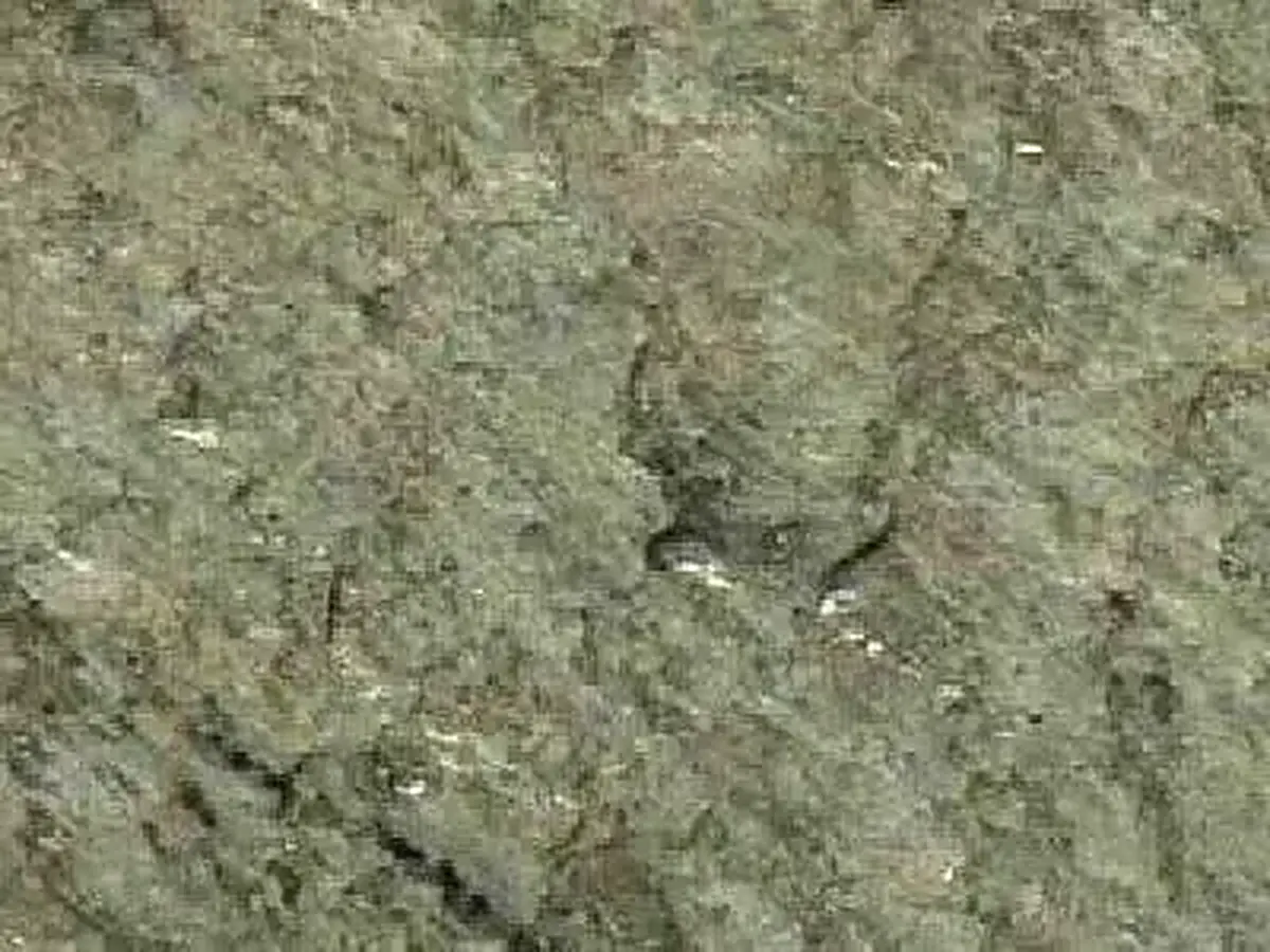 Pistacho ardesia, campione lucido – Marmi di Carrara – grigio, verde (1)