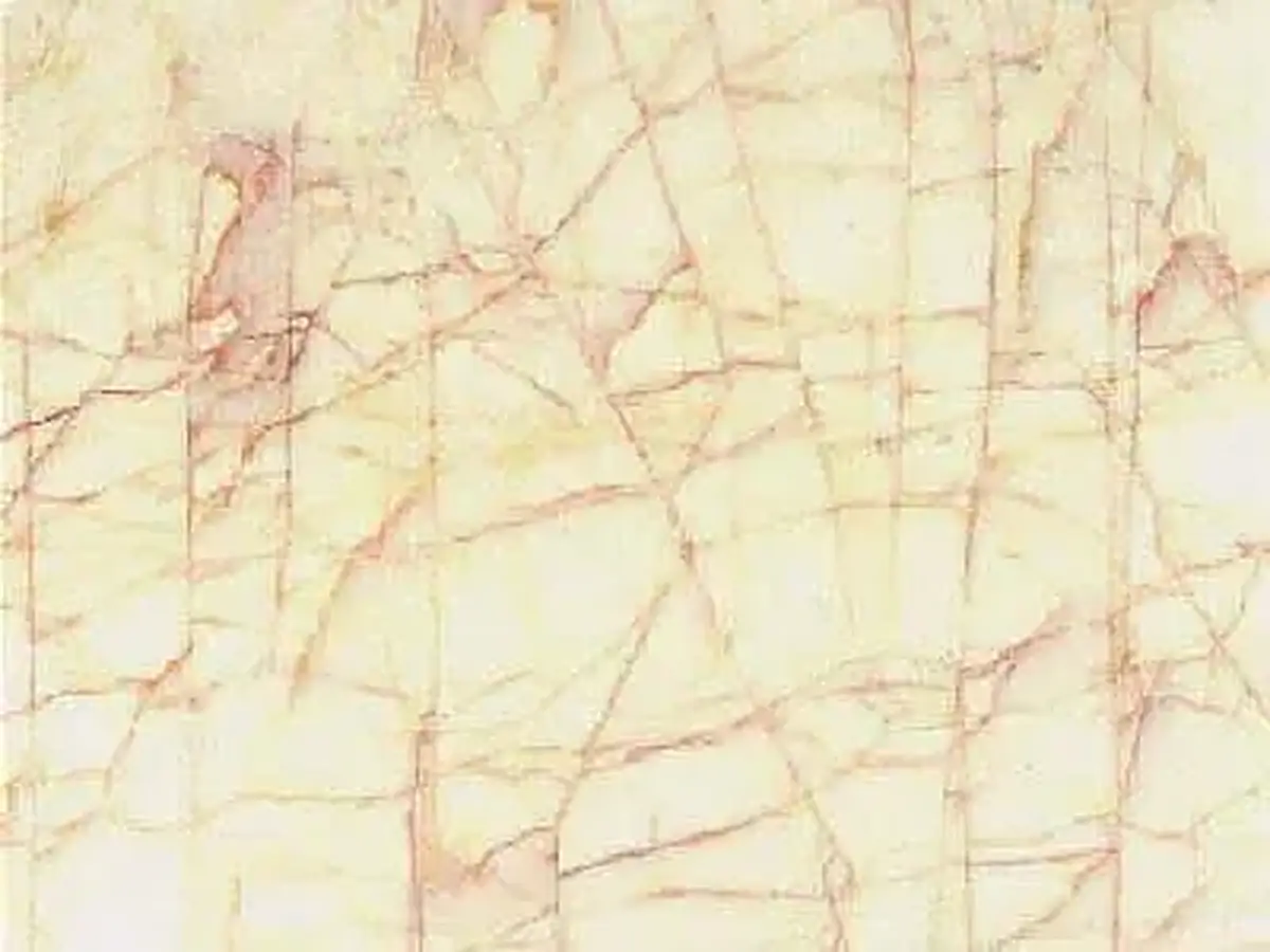 Platanotopos marbre, échantillon poli – Marmi di Carrara – ivoire, blanc (1)