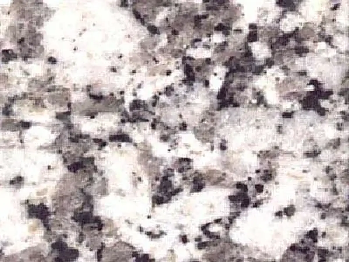 Platinum White granito, campione lucido – Marmi di Carrara – bianco, beige (1)