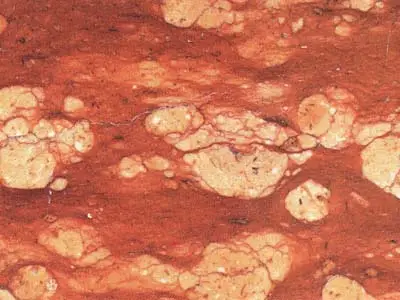 Porfirico Ramello Rosso limestone