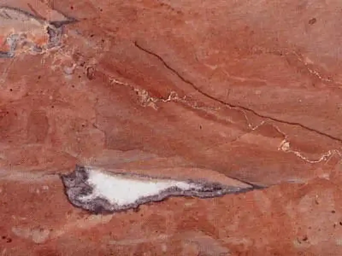 Portasanta limestone polished sample – Marmi di Carrara – rust red, gold (1)