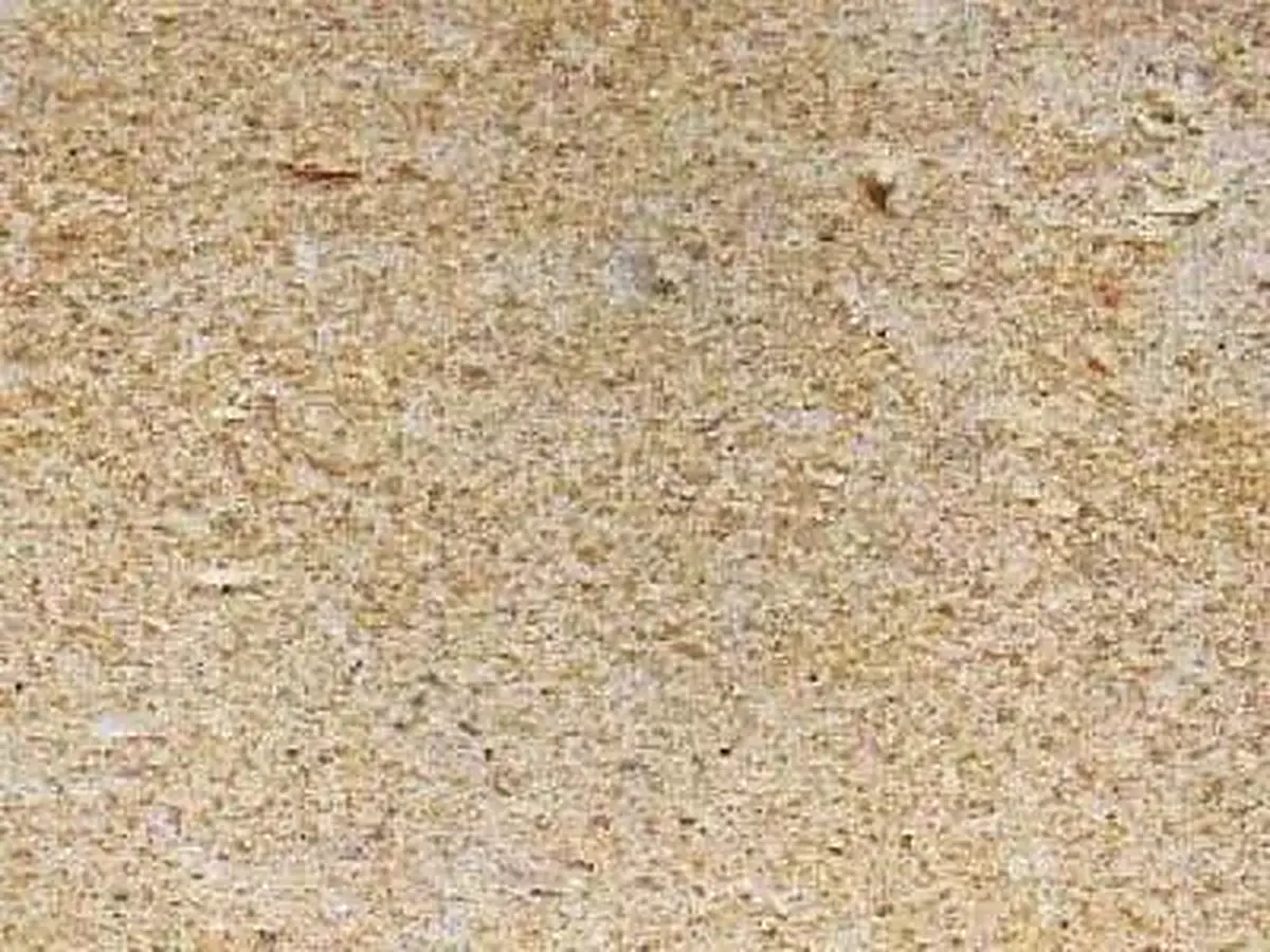 Postaer Sandstein arenisca, muestra pulida – Marmi di Carrara – beige (1)