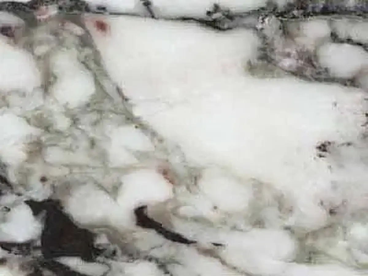 Pushtulimsky marble polished sample – Marmi di Carrara – beige, light grey (1)