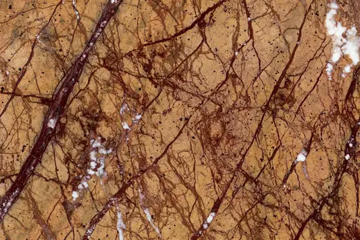 Rain Forest Gold marble slab surface – Marmi di Carrara – gold, brown (2)