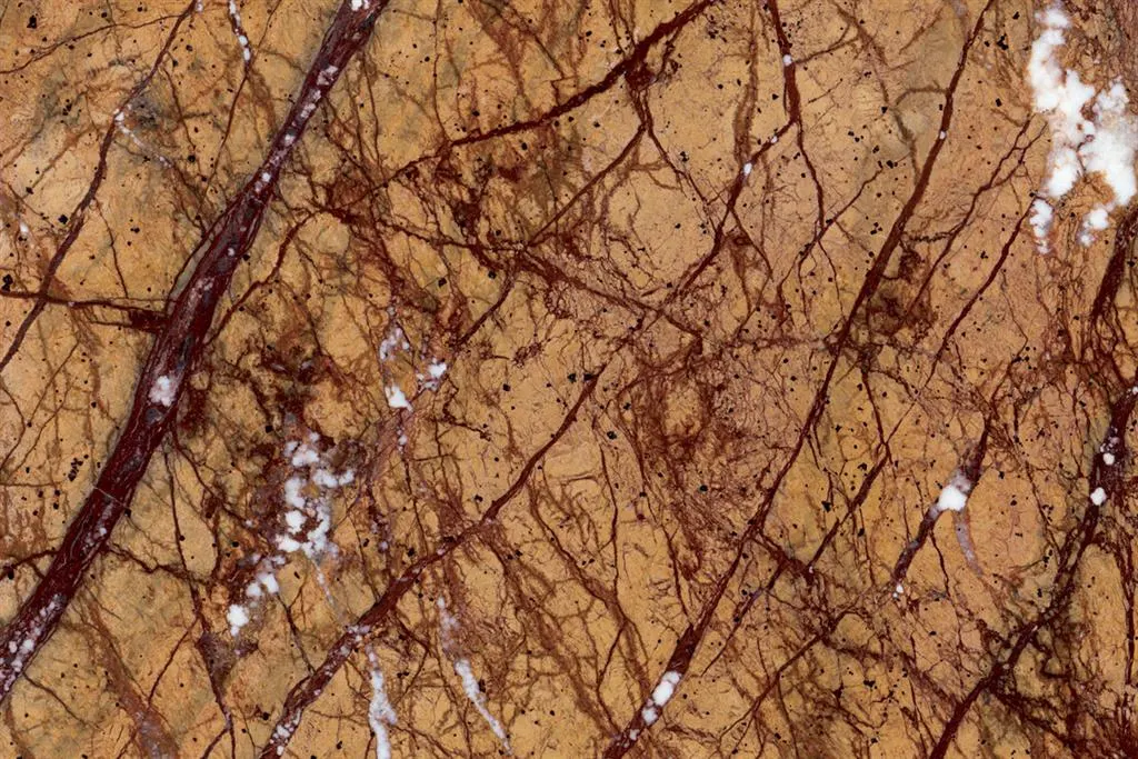 Rain Forest Gold marmo, superficie di lastra – Marmi di Carrara – oro, marrone (2)