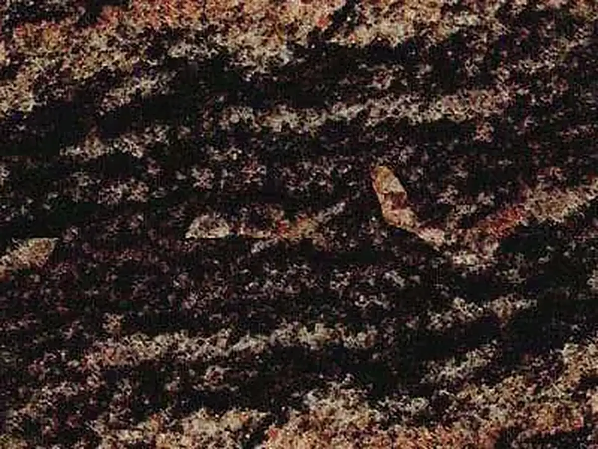 Rainbow granite polished sample – Marmi di Carrara – black, brown (1)