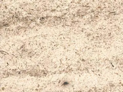 Ravieres St. Nicolas limestone polished sample – Marmi di Carrara – ivory, beige (1)