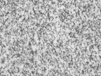 Real Grey granito, muestra pulida – Marmi di Carrara – gris claro, gris (1)