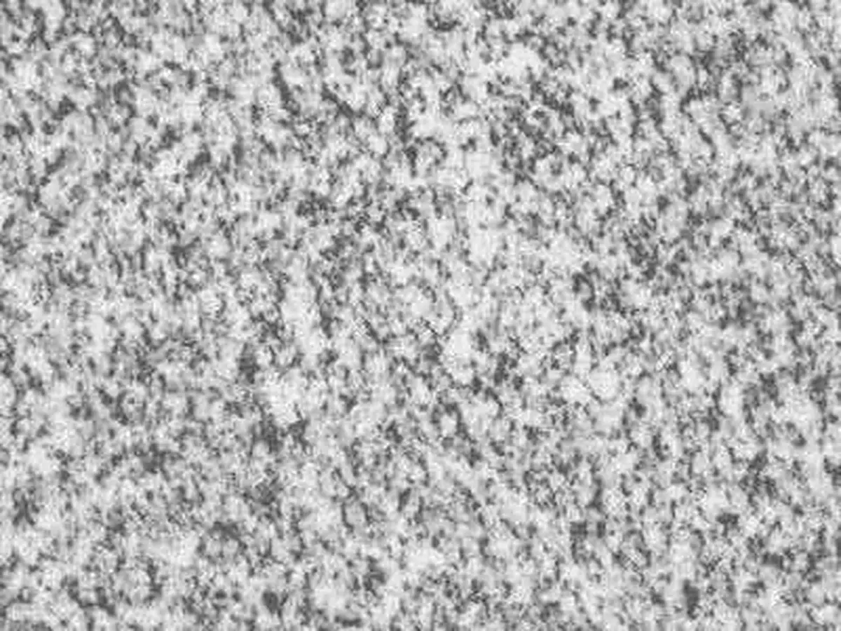 Real Grey granito, muestra pulida – Marmi di Carrara – gris claro, gris (1)