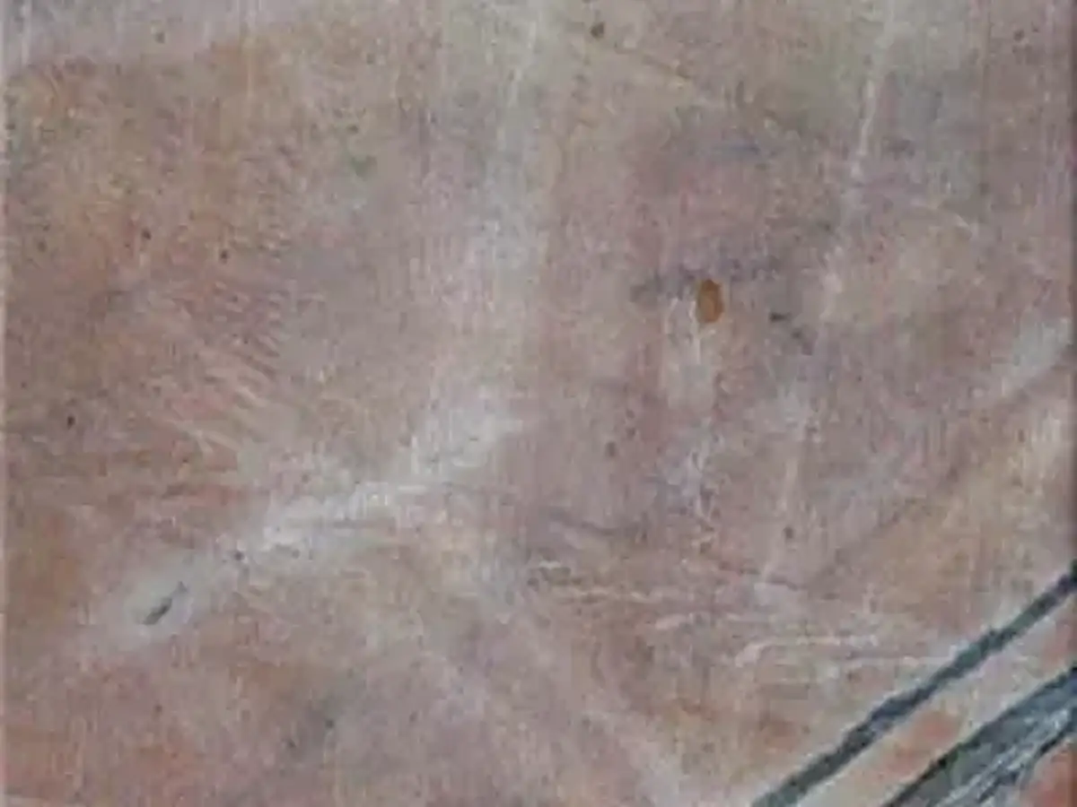 Regular Pink limestone polished sample – Marmi di Carrara – grey (1)