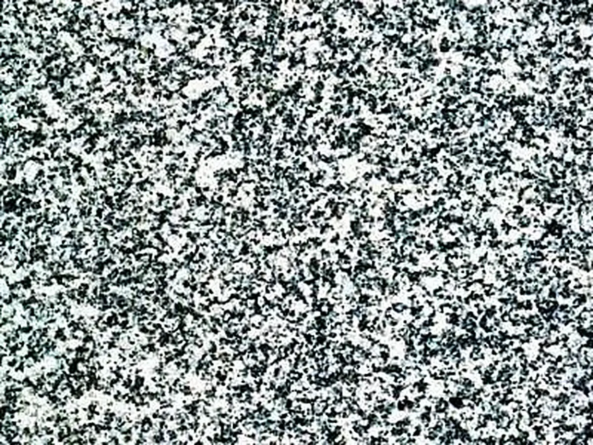 Rinchnach granite polished sample – Marmi di Carrara – grey, light grey (1)