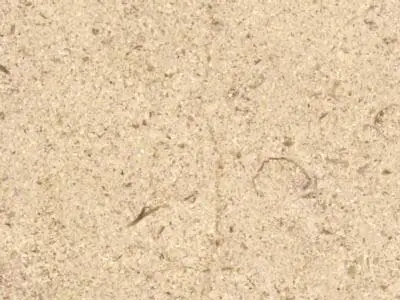 Roche de Charmot limestone polished sample – Marmi di Carrara – ivory, beige (1)