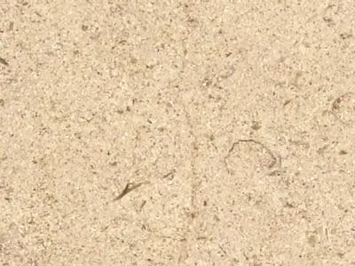 Roche de Charmot limestone polished sample – Marmi di Carrara – ivory, beige (1)