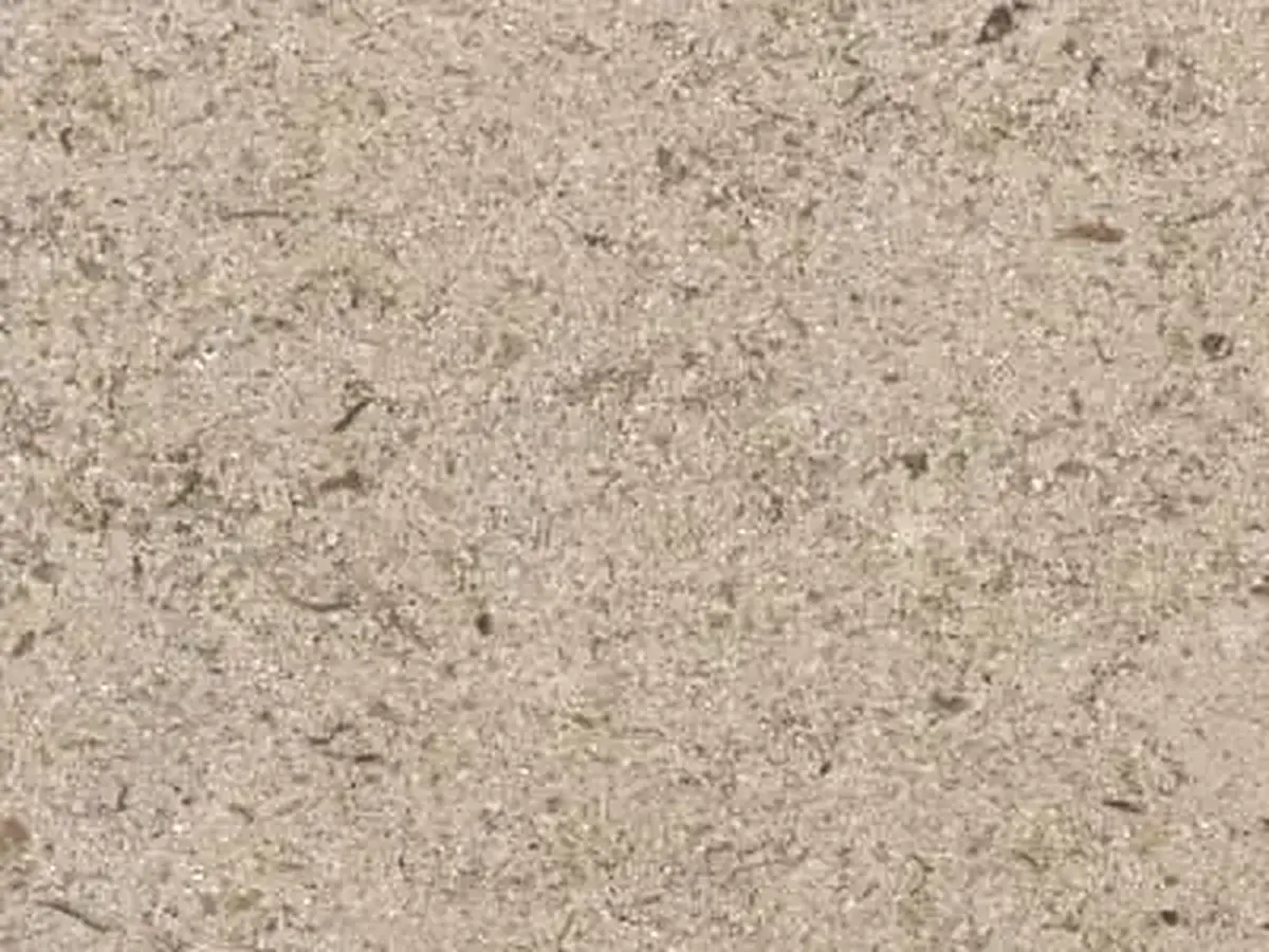 Roche de Valanges limestone polished sample – Marmi di Carrara – beige (1)