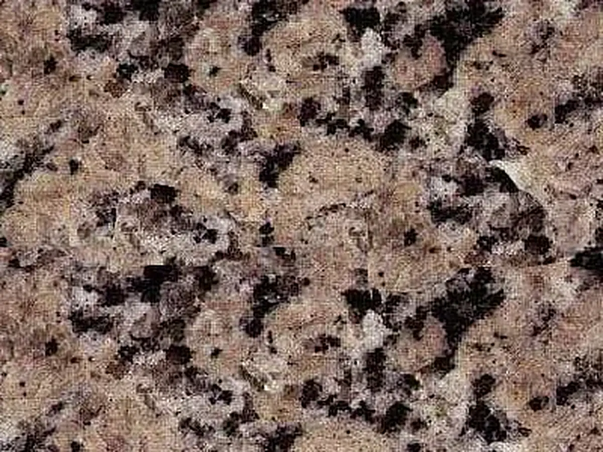 Rockville Beige granito, campione lucido – Marmi di Carrara – grigio, verde (1)