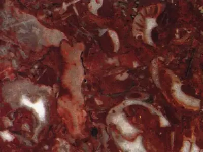 Rojo Daniel limestone polished sample – Marmi di Carrara – brown, black (1)