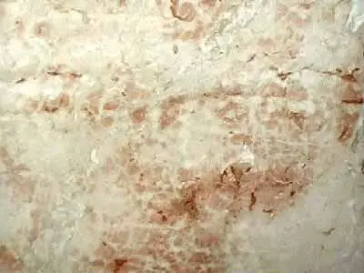 Rosa Corallo marble