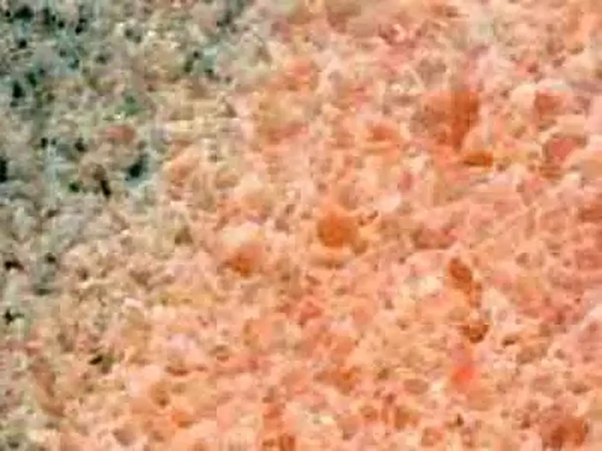 Rosa Cordoba marbre, échantillon poli – Marmi di Carrara – doré, rose (1)