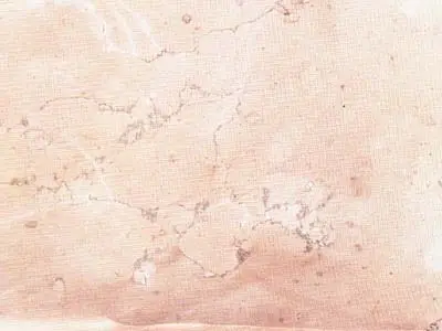 Rosa Perlino известняк, полированный образец – Marmi di Carrara – серый, светло-серый (1)