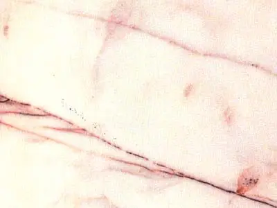 Rosa Salmon marble polished sample – Marmi di Carrara – white, ivory (1)