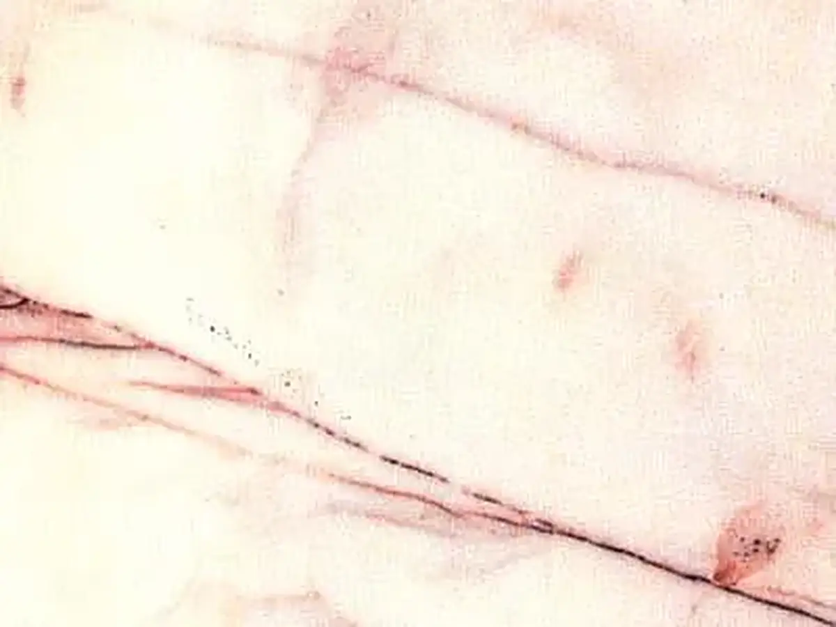 Rosa Salmon marble polished sample – Marmi di Carrara – white, ivory (1)