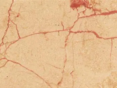 Rosalia limestone