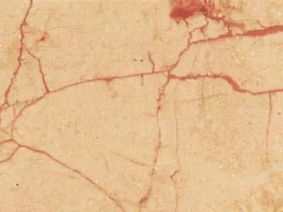 Rosalia caliza, muestra pulida – Marmi di Carrara – beige (1)