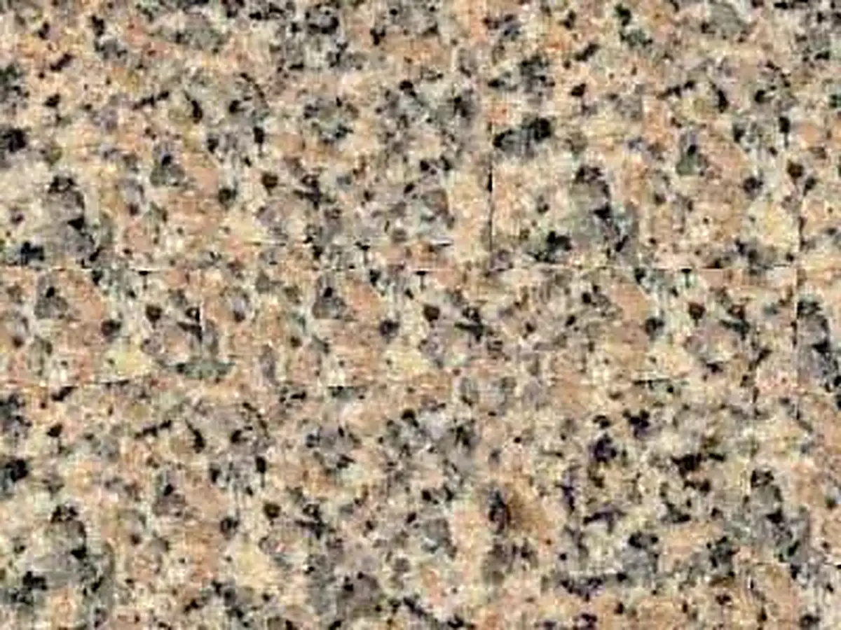 Rose Renca Granit, polierte Probe – Marmi di Carrara – grau, beige (1)