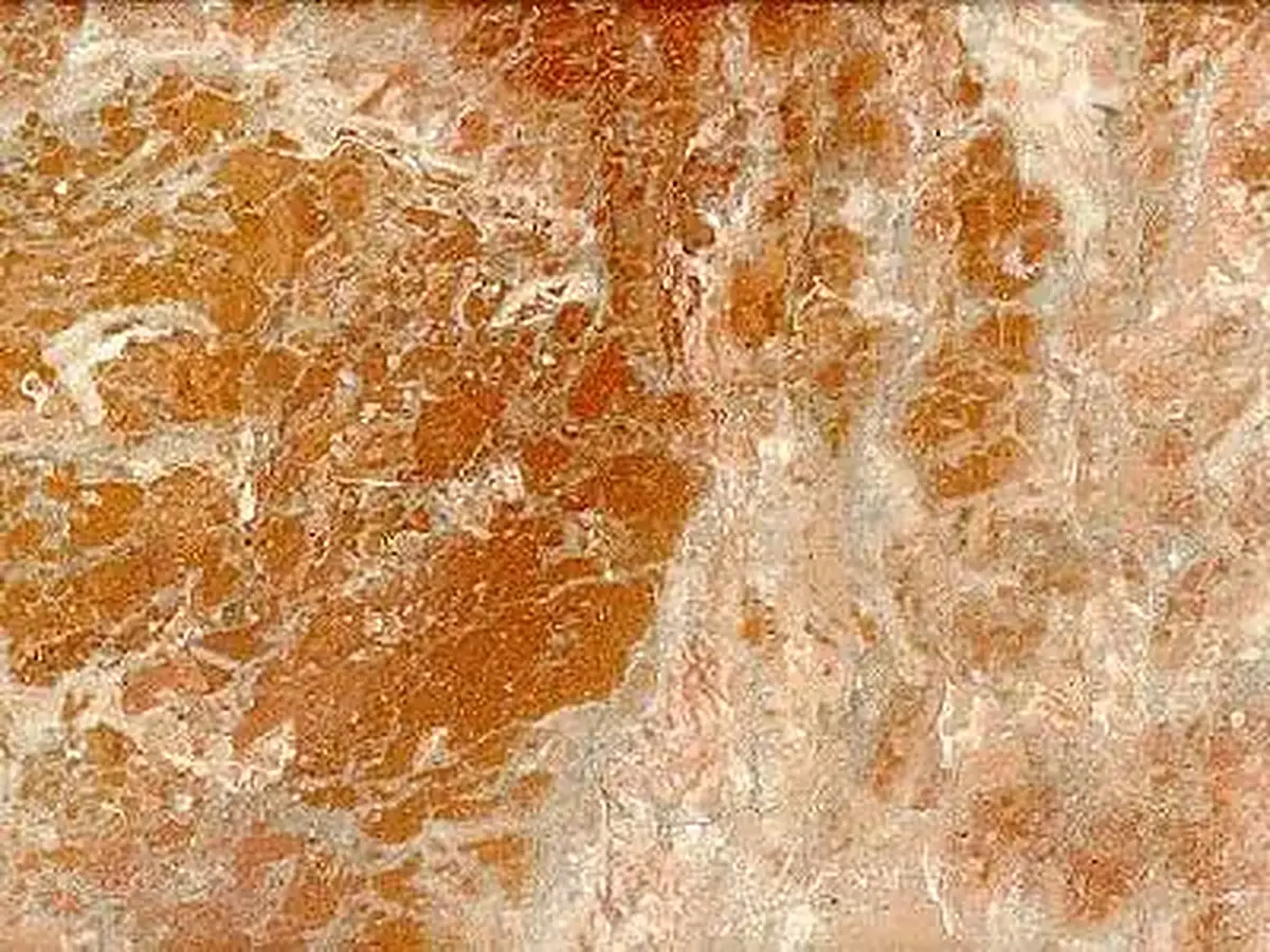 Rosso Borneo Kalkstein, polierte Probe – Marmi di Carrara – beige, gold (1)