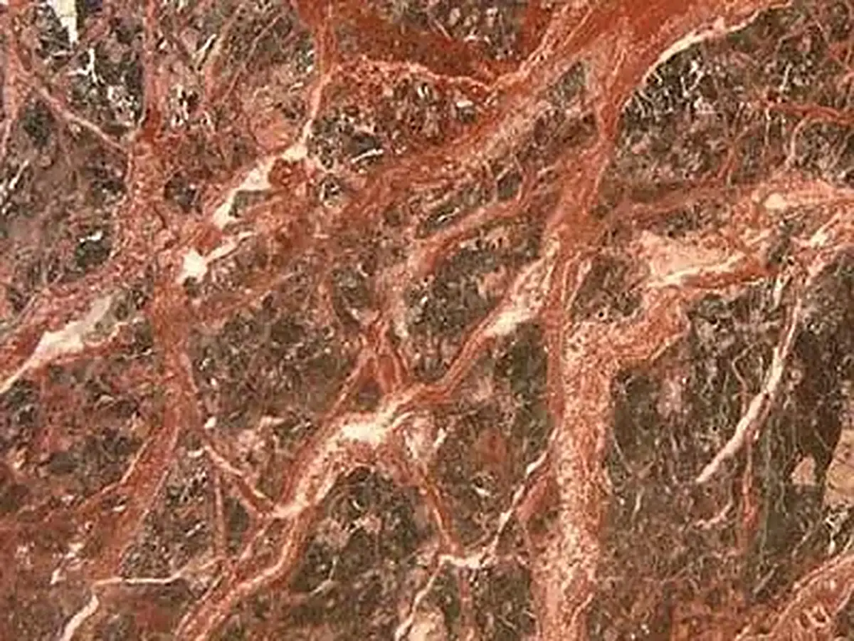 Rosso Erika limestone polished sample – Marmi di Carrara – gold, rust red (1)