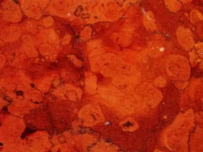 Rosso Magnaboschi calcare, campione lucido – Marmi di Carrara – rosso ruggine (1)