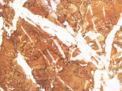 Rosso Reale calcare, campione lucido – Marmi di Carrara – oro, bianco (1)