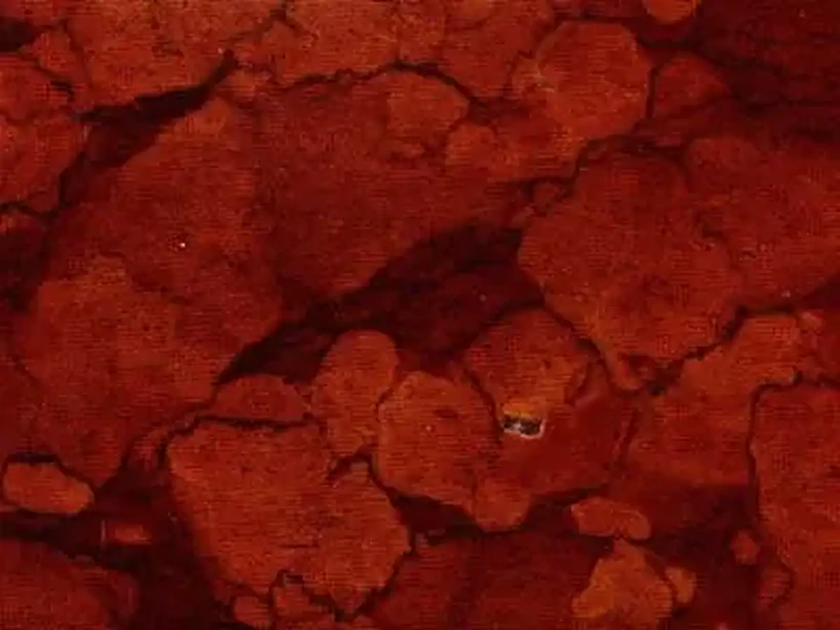 Rosso Sicilia limestone polished sample – Marmi di Carrara – rust red, brown (1)