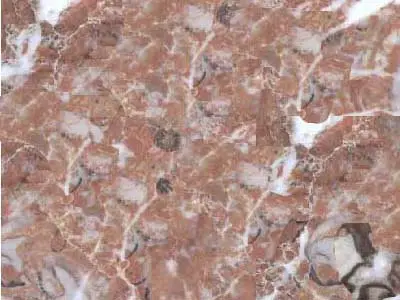 Rouge Royal известняк, полированный образец – Marmi di Carrara – серый, розовый (1)