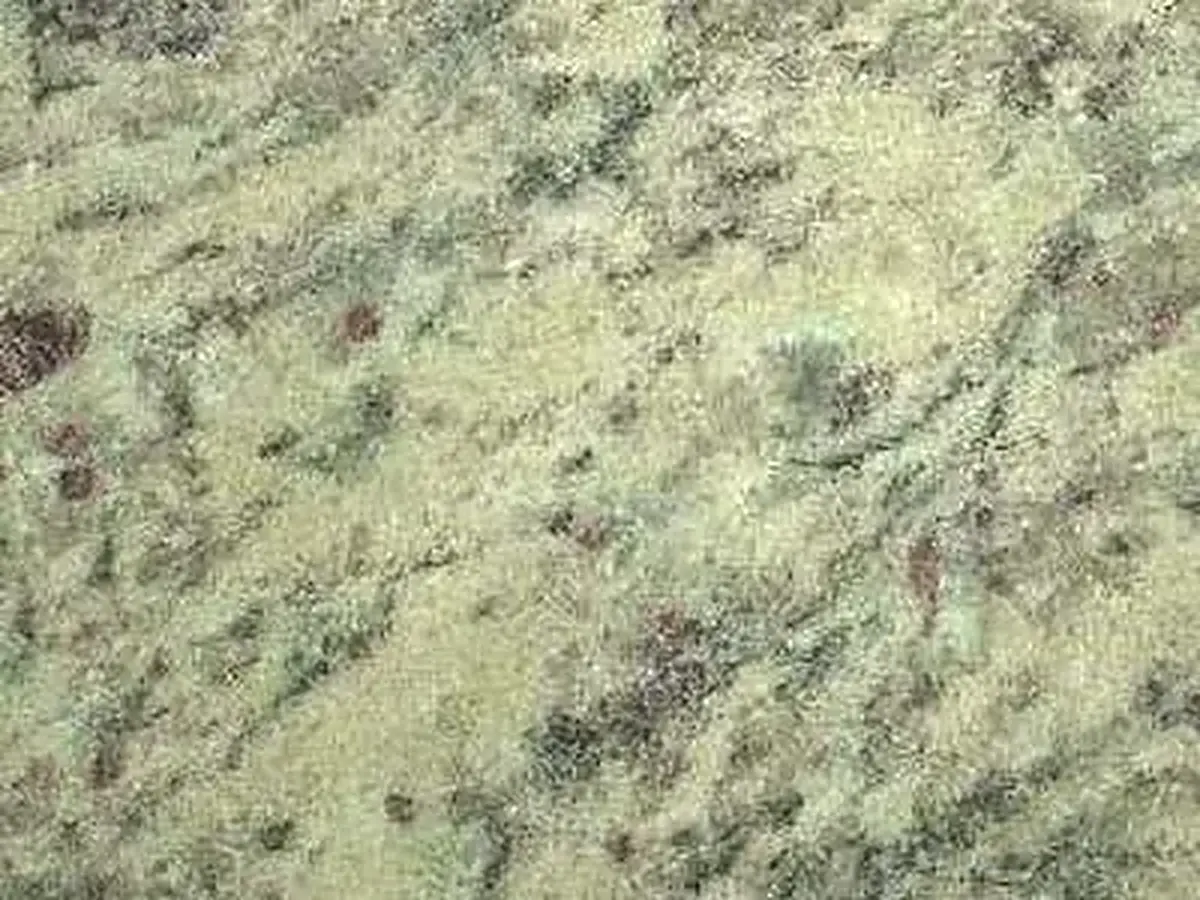 Samoa Light granite polished sample – Marmi di Carrara – beige, grey (1)