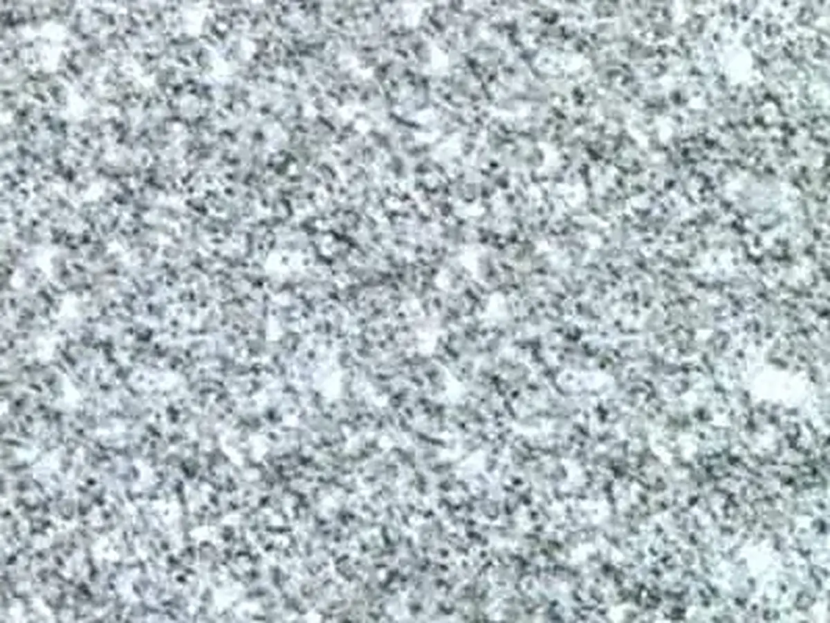 San Fedelino гранит, полированный образец – Marmi di Carrara – светло-серый, серый (1)