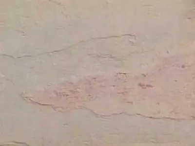 Sanjaini slate