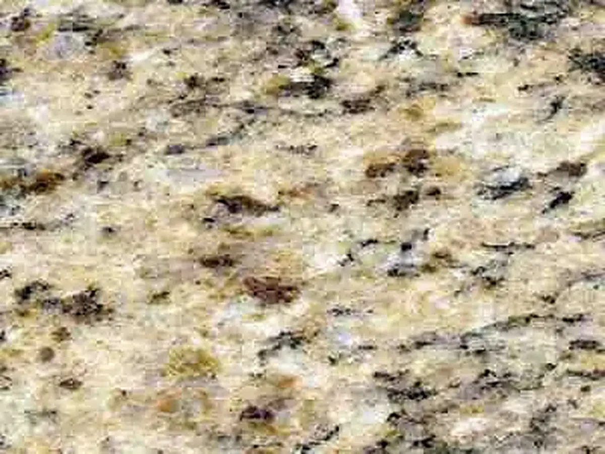 Santa Cecilia S granito, campione lucido – Marmi di Carrara – beige, avorio (1)