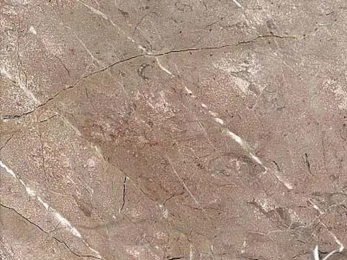 Santo Tomás Lila Claro limestone polished sample – Marmi di Carrara – grey, beige (1)