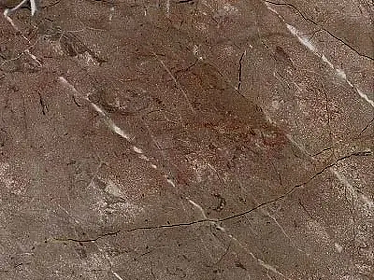 Santo Tomás Lila Oscuro calcare, campione lucido – Marmi di Carrara – marrone, viola (1)